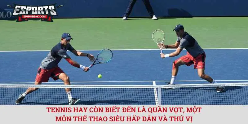 tennis-hay-con-biet-đen-la-quan-vot,-mot-mon-the-thao-sieu-hap-dan-va-thu-vi